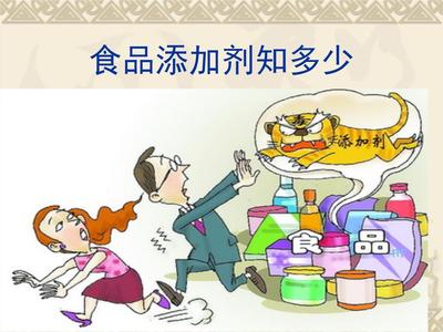 食品添加剂的使用原则
